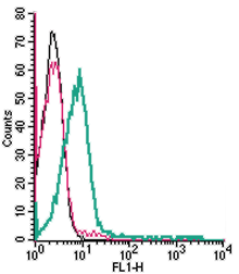 Cell surface detection of SORL1 in live intact human Jurkat T-cell leukemia cells: