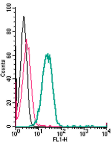 Cell surface detection of TMEM119 by direct flow cytometry in live intact mouse BV-2 microglia cells: