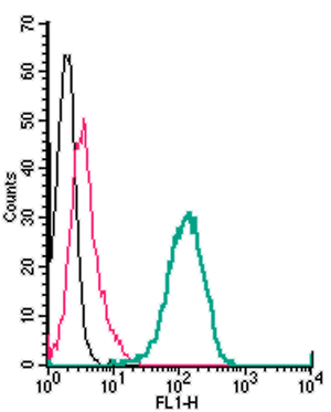 Cell surface detection of ADAM10 by indirect flow cytometry in live intact human THP-1 monocytic leukemia cells:
