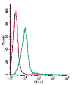 Cell surface detection of GPR35 by indirect flow cytometry in live intact mouse BV-2 microglia cell line: