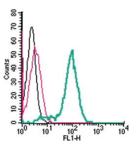 Cell surface detection of TNFR2 by indirect flow cytometry in live intact human THP-1 monocytic leukemia cells: