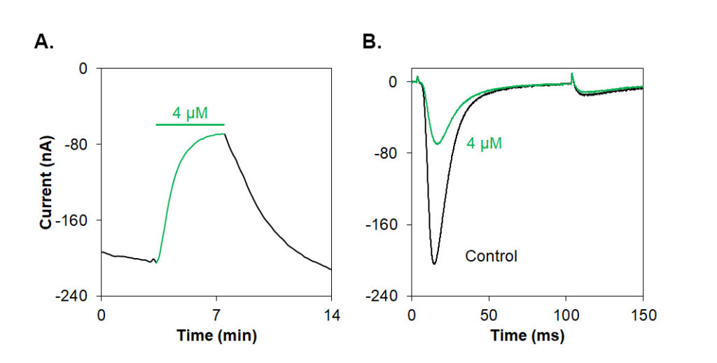 Alomone Labs Heteropodatoxin-1 inhibits NaV1.7 channel currents heterologously expressed in Xenopus oocytes.
