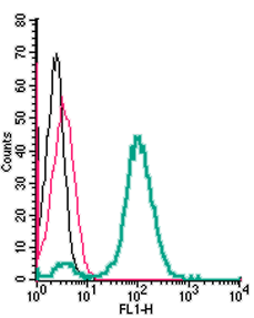 Cell surface detection of Tetraspanin 7 by indirect flow cytometry in live intact human THP-1 monocytic leukemia cells: