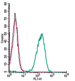 Cell surface detection of P2Y13 by indirect flow cytometry in live intact human THP-1 monocytic leukemia cell line: