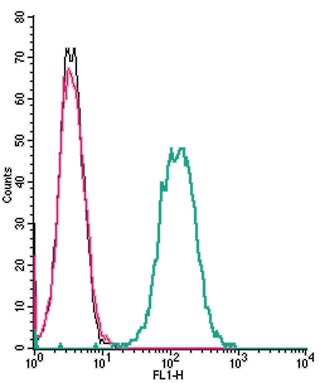 Cell surface detection of NMUR1 by indirect flow cytometry in live intact mouse J774 macrophage cell line:
