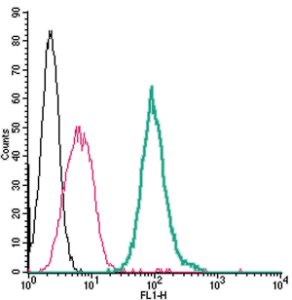 Cell surface detection of P2Y14 by direct flow cytometry in live intact mouse J774 macrophage cells: