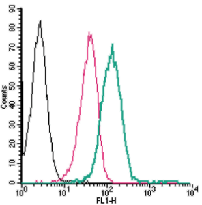 Cell surface detection of P2Y14 by direct flow cytometry in live intact human THP-1 monocytic leukemia cells: