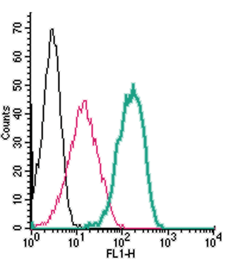 Cell surface detection of TRPV1 by indirect flow cytometry in live intact human THP-1 monocytic leukemia cell line:
