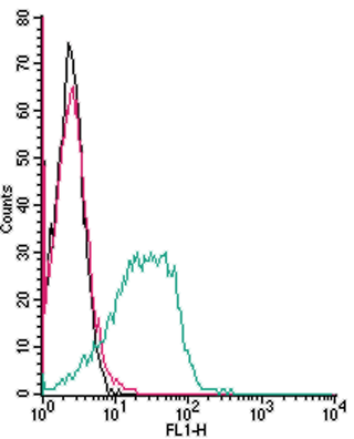 Cell surface detection of Adenosine A3 Receptor by indirect flow cytometry in live intact mouse P815 mastocytoma cell line: