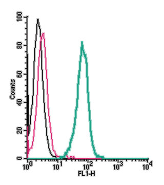 Cell surface detection of Neogenin by indirect flow cytometry in live intact human THP-1 monocytic leukemia cell line: