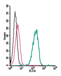Cell surface detection of PAFR by indirect flow cytometry in live intact human THP-1 monocytic leukemia cell line: