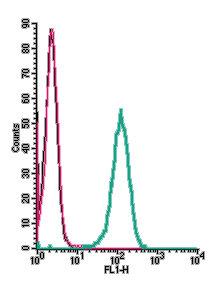 Cell surface detection of ACE2 by indirect flow cytometry in live intact human THP-1 monocytic leukemia cell line: