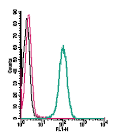 Cell surface detection of TRPM7 by indirect flow cytometry in live intact human THP-1 monocytic leukemia cell line: