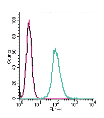 Cell surface detection of GPR132 by indirect flow cytometry in live intact mouse J774 macrophage cell line: