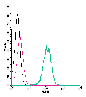 Cell surface detection of GPR142 by indirect flow cytometry in live intact human THP-1 monocytic leukemia cell line: